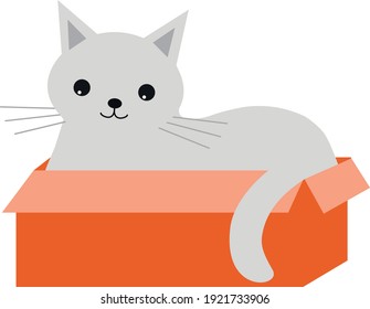 Un lindo gato gris se sienta en una caja. Ilustración vectorial. Aislado sobre fondo blanco. Ilustración vectorial.