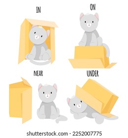 Cute gray cat sits on, under, near and in a cardboard box