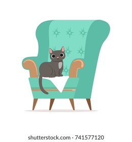 Cute gray cat sitting on a turquoise armchair, home pet resting vector Illustration