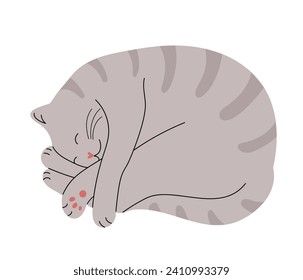 Cute gray cat sleeping curled in a ball. Hand drawn isolated on white vector illustration