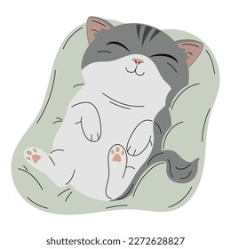 cute gray cat sleeping in pillow