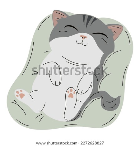 cute gray cat sleeping in pillow