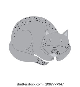 Cute gray cat sleeps curled up in a cartoon style. For web icons, postcards, children's design, etc. Vector illustration isolated on a white background.