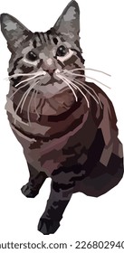 A cute gray cat with a white mustache on a white background is waiting for affection. Vector. Illustration. 2000 x 3000 px.