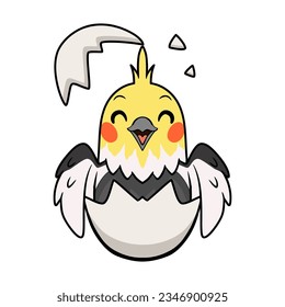 Cute grau cockatiel bird cartoon inside from egg