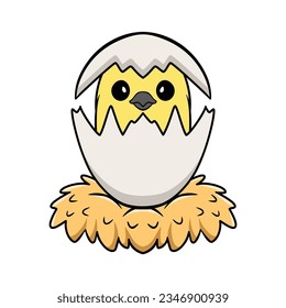 Cute gray cockatiel bird cartoon inside from egg