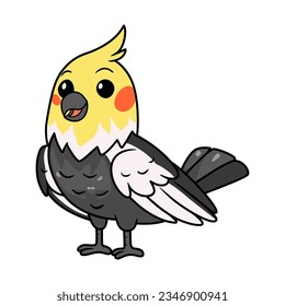 Cute grau cockatiel bird cartoon