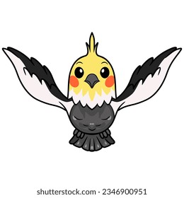 Cute grau cockatiel bird cartoon