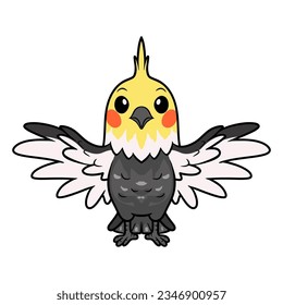 Cute grau cockatiel bird cartoon