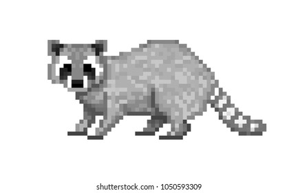 Cute gray common raccoon, pixel art symbol isolated on white background. Wildlife animal. Old school 8 bit slot machine pictogram. Retro 80s; 90s video game graphics. Zoo/national park/forest mammal.