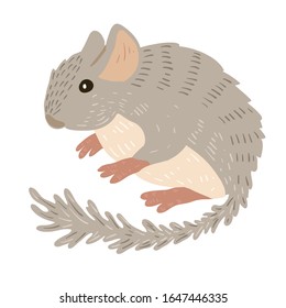 Cute gray fluffy chinchilla, pet, Isolated on a white background. Cartoon character for little children. Vector Kids print for shirts, stickers, card, book illustration. Nursery decor.