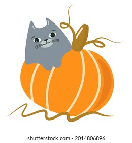 Un gatito gris y bien cariñoso en una calabaza en Halloween. Ilustración vectorial aislada sobre fondo transparente. Para saludos, invitaciones, diseño de tarjetas de vacaciones, web para Acción de Gracias, Halloween.