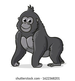 Cute gray gorilla is standing on a white background. Vector illustration with an animal in cartoon style. The monkey is smiling.