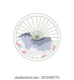 Cute gray hamster with white belly runs in a wheel. Funny fluffy pet having fun with toy vector cartoon illustration. Entertainment for small adorable home animal isolated on white background.