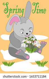 Cute gray hare with snowdrops for your spring design. Text "Spring Time".