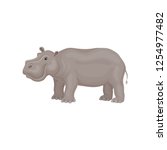 Cute gray hippo standing isolated on white background, side view. African animal. Wild creature. Flat vector design