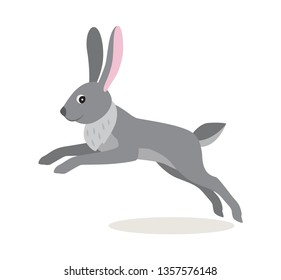 Cute gray jumping rabbit hare isolated on white background, forest, woodland animal, vector illustration in flat style