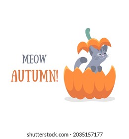 Gatito gris, gato sentado en el jengibre, calabaza roja y cubierta en la cabeza y hojas de otoño en blanco. Ilustración vectorial para postal, banner, decoración, diseño, artes, web, calendario, advirtización.