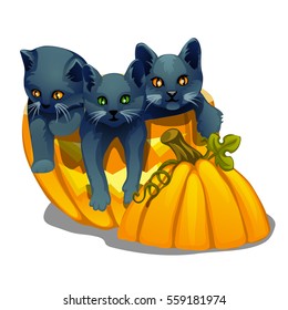 Cute gray kittens sitting in a sliced pumpkin. The attributes of the holiday Halloween isolated on white background. Vector illustration.

