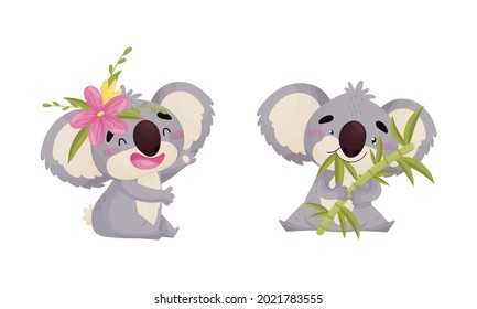 Cute Gray Koala Bear Chewing Bamboo Leaf and Waving Paw Vector Set