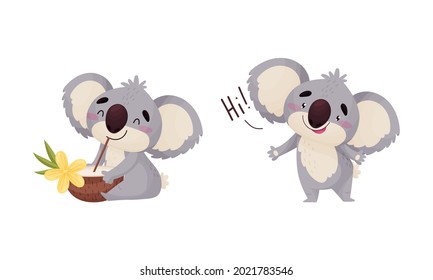 Cute Gray Koala Bear Greeting And Drinking Coconut Cocktail Vector Set