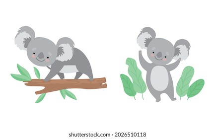 Cute Gray Koala Bear on Tree Branch and Waving Paw Vector Set