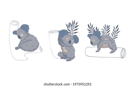 Cute Gray Koala Bear Sitting on Eucalypt Tree Trunk Vector Set