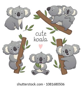 Cute gray koala in differet poses set: sitting, climbing the tree, with a baby. Vector illustration cartoon animal. Isolated on white