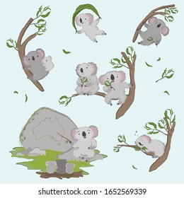 Grau graue Koalas in verschiedenen Posen. Zeichensatz Koalas: Sitzen, Schlafen, klettern auf einen Baum, mit einem Baby, isst, lehrt und fliegt auf einem Blatt. Vektorillustration Illustration von Koalas. Einzeln auf Blau.