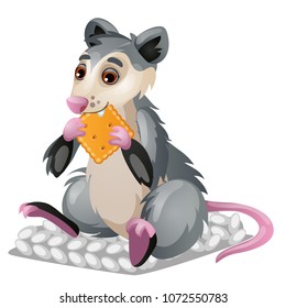 Cute gray mouse eating a cookie isolated on a white background. Vector cartoon close-up illustration.