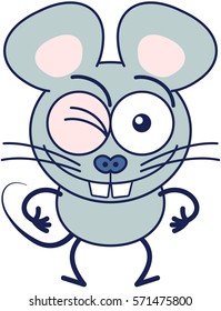 Cute gray mouse in minimalistic style with huge rounded ears, bulging eyes and big teeth while winking, smiling generously and making thumbs up