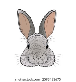 Cute Gray Rabbit Face with Detailed Fur and Expressive Ears