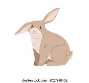 178 Floppy eared rabbit cartoons Images, Stock Photos & Vectors ...