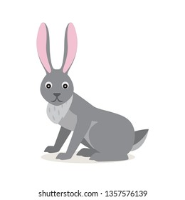 Cute gray rabbit hare isolated on white background, scared emotion, forest, woodland animal, vector illustration in flat style