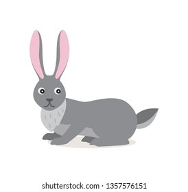 Cute gray rabbit hare isolated on white background, scared emotion, forest, woodland animal, vector illustration in flat style