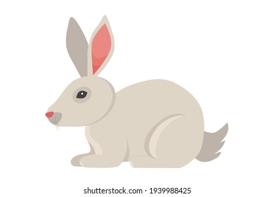 Cute gray rabbit isolated on white background. Flat style design vector illustration