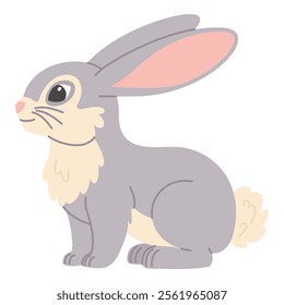 Cute gray rabbit on a white background