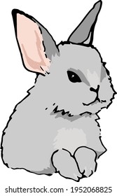 Cute gray rabbit portrait in cartoon style. Isolated icon animal.Vector illustration bunny on white background. Print hare design. Children Print on t-shirt.