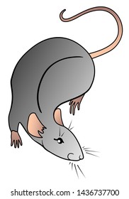 Cute gray rat - a symbol of the Chinese horoscope. Rat - rodent pet vector picture.