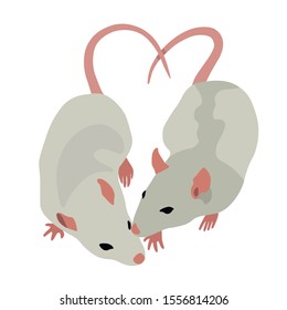 Cute gray rats vector illustration. New year 2020 year of the rat