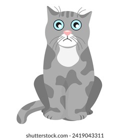Cute, gray, sad cat sitting, isolated on a white background. Vector illustration of a pet for textiles, cards.