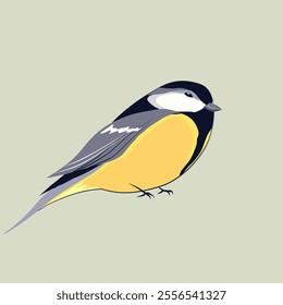 Cute gray titmouse with a yellow chest isolated on a soft pastel green background. Beautiful bird vector illustration for natural designs.
