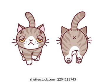 Cute gray walking cat front and back view minimal vector illustration. Doodle cartoon cats series. 