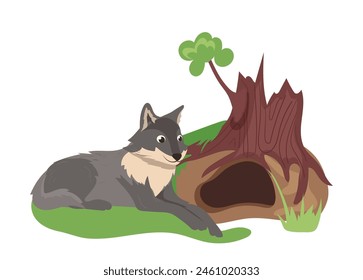 Caricatura de lobo gris lindo animal de la selva salvaje que vive en la Ilustración vectorial aislada madriguera