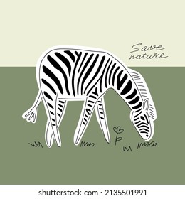 Cute grazing zebra. Vector illustration. Single isolated decor element. EPS clip art design.