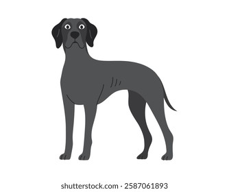 Cute Great Dane, Dog Standing. Pet, Breed. Isolated Flat Vector Illustration