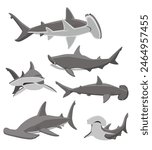 Cute Great Hammerhead Shark Poses Set Cartoon Vector