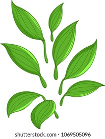 cute greean leaves cartoon