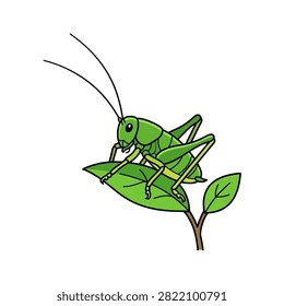 A cute green baby katydid vector illustration.