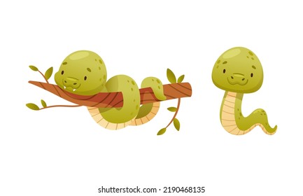 Cute Green Baby Snake as Crawling Creature Coiled on Tree Branch and Slithering on the Ground Vector Set